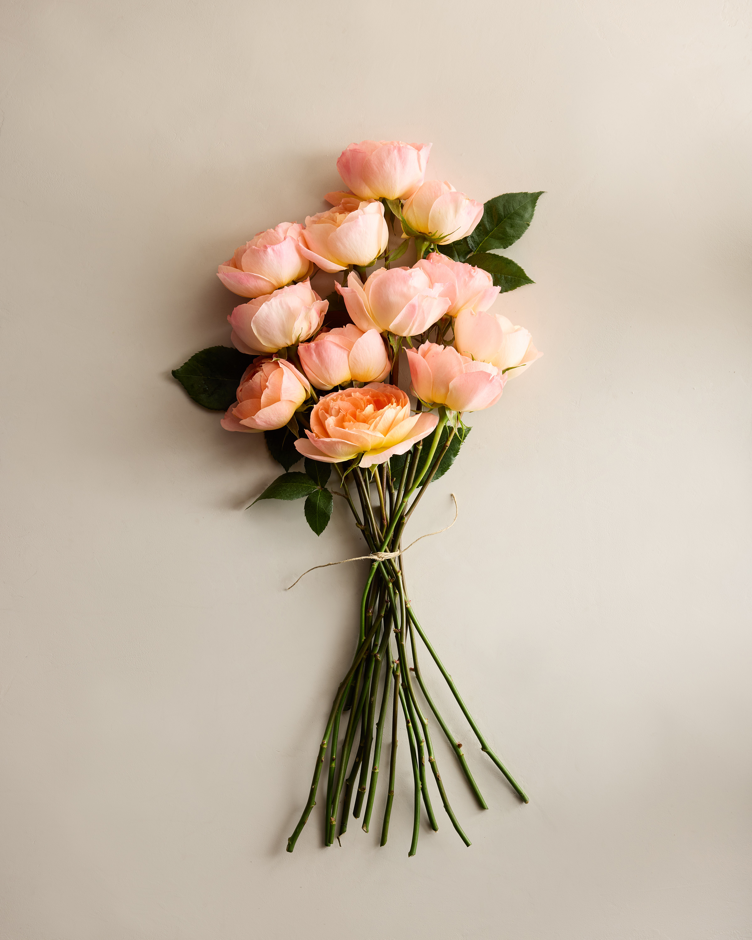 Soleil Garden Roses (12 stems)
