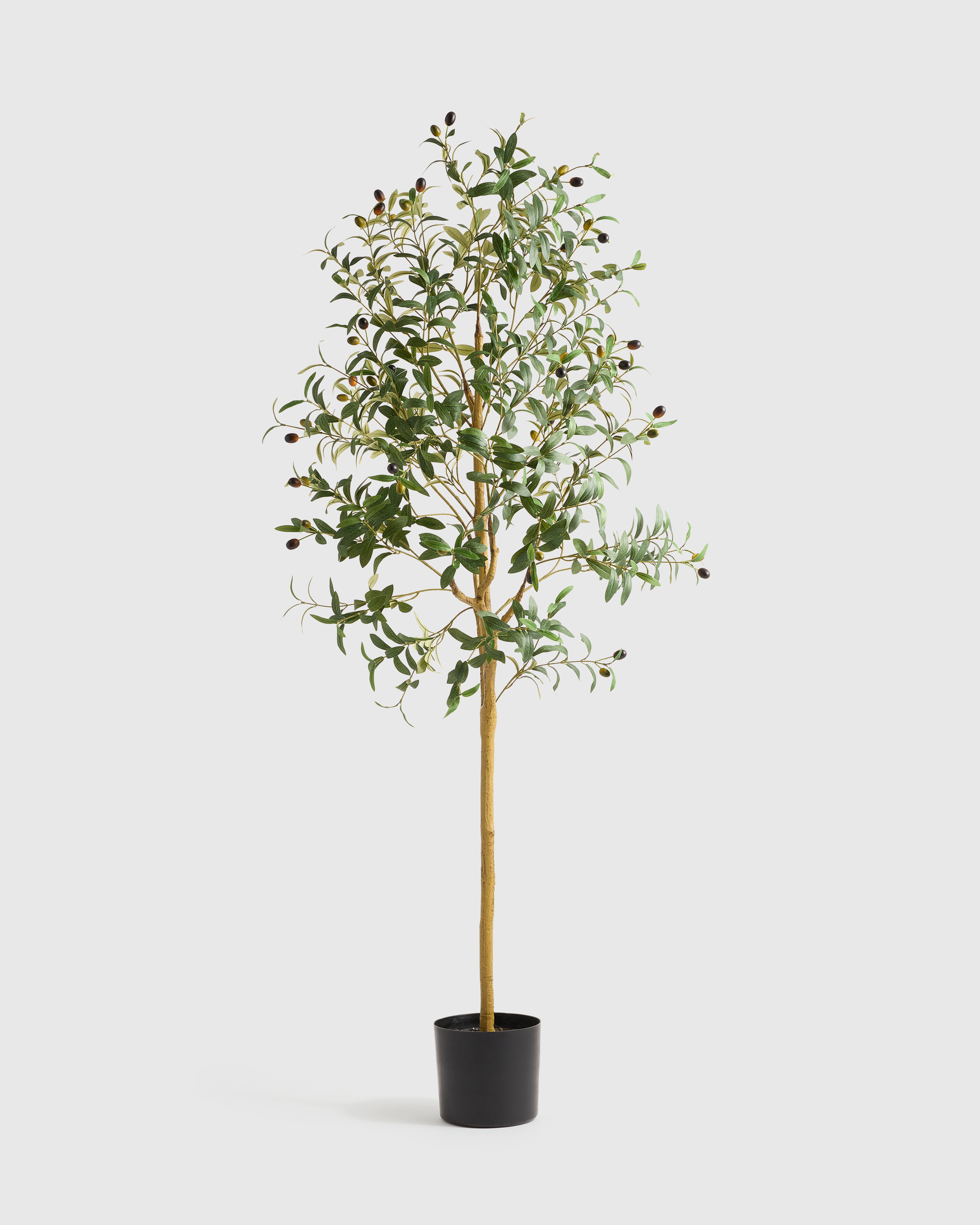 Faux Olive Tree