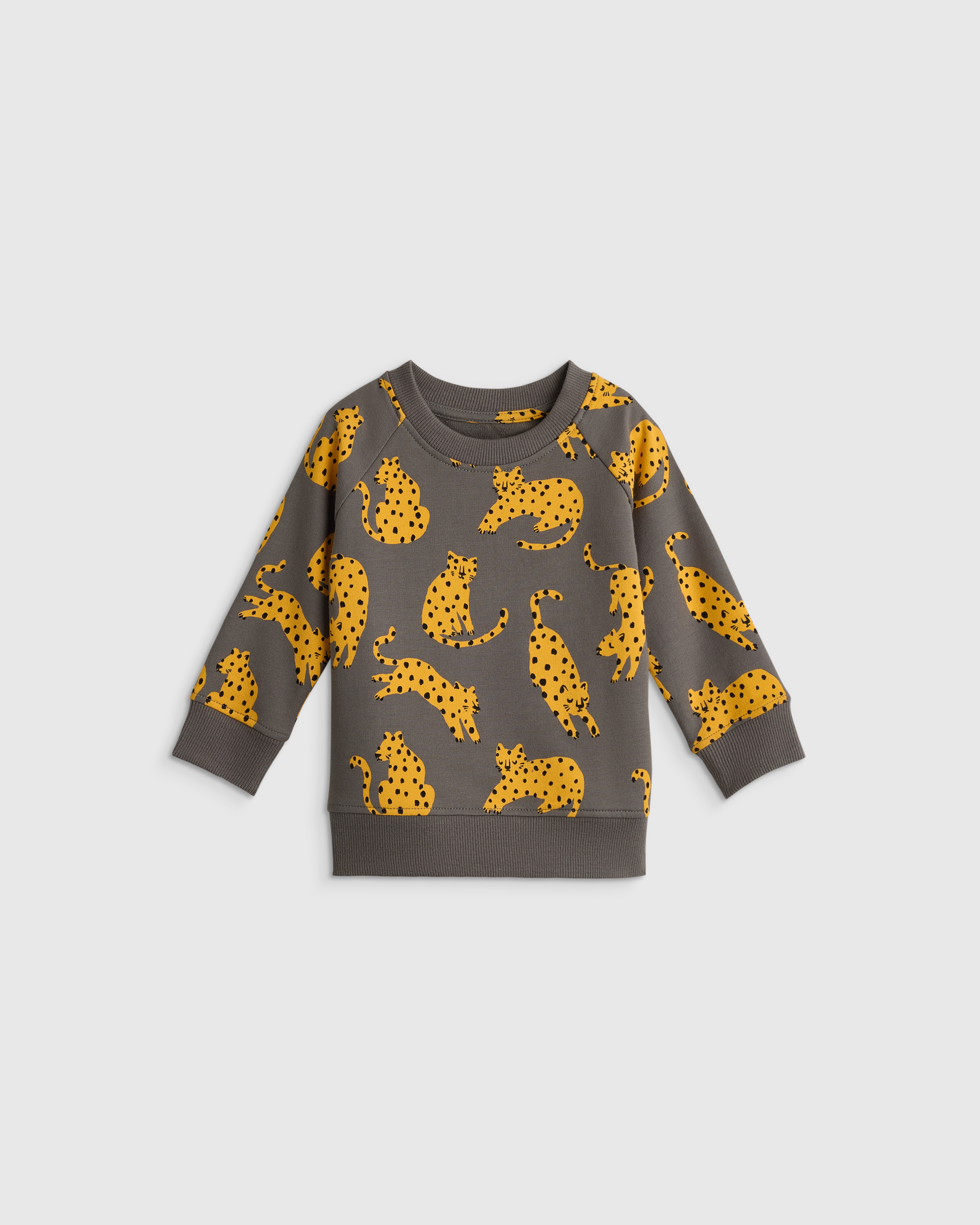Organic Cotton French Terry Crew Neck Sweatshirt