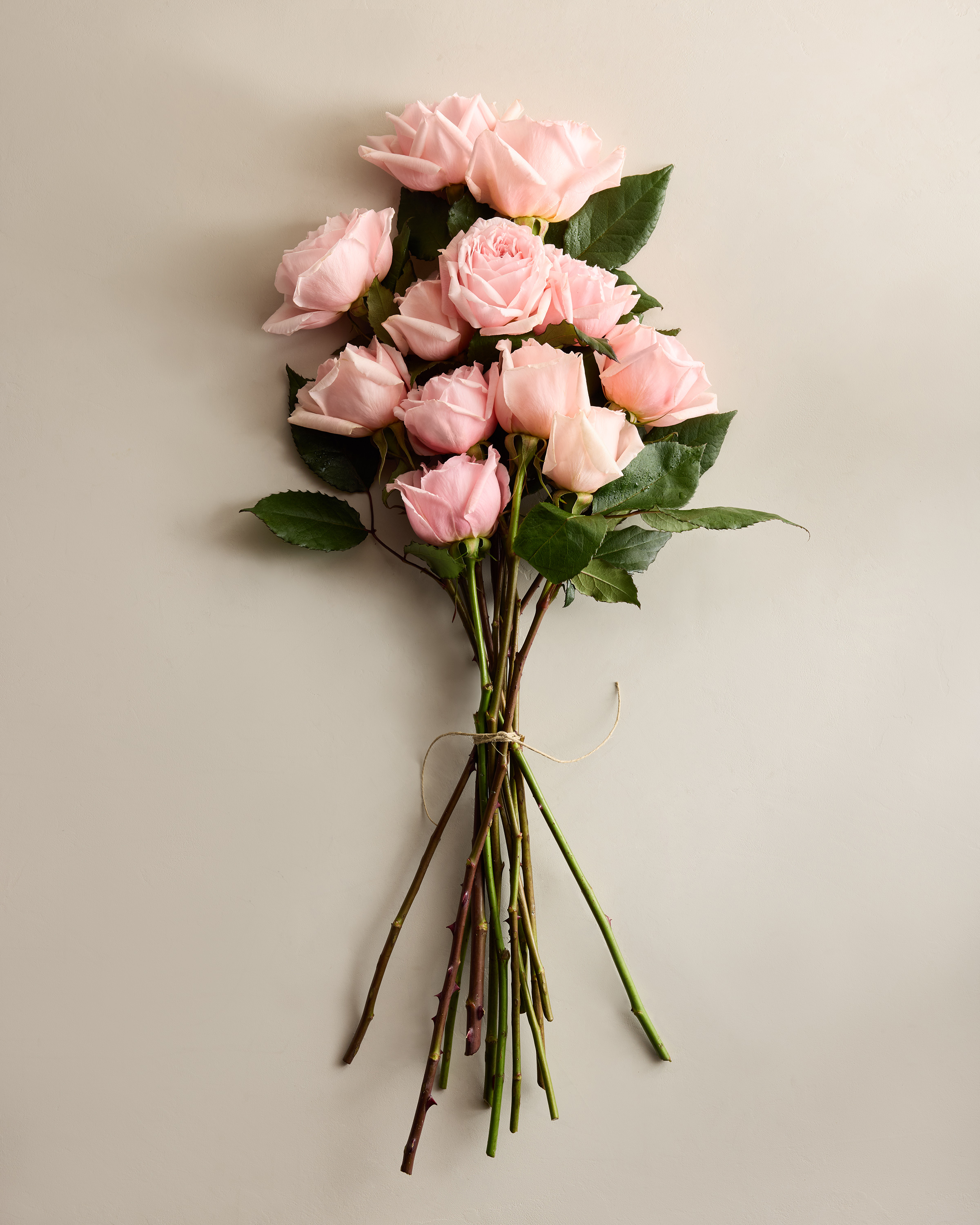 Aurora Garden Roses (12 stems)