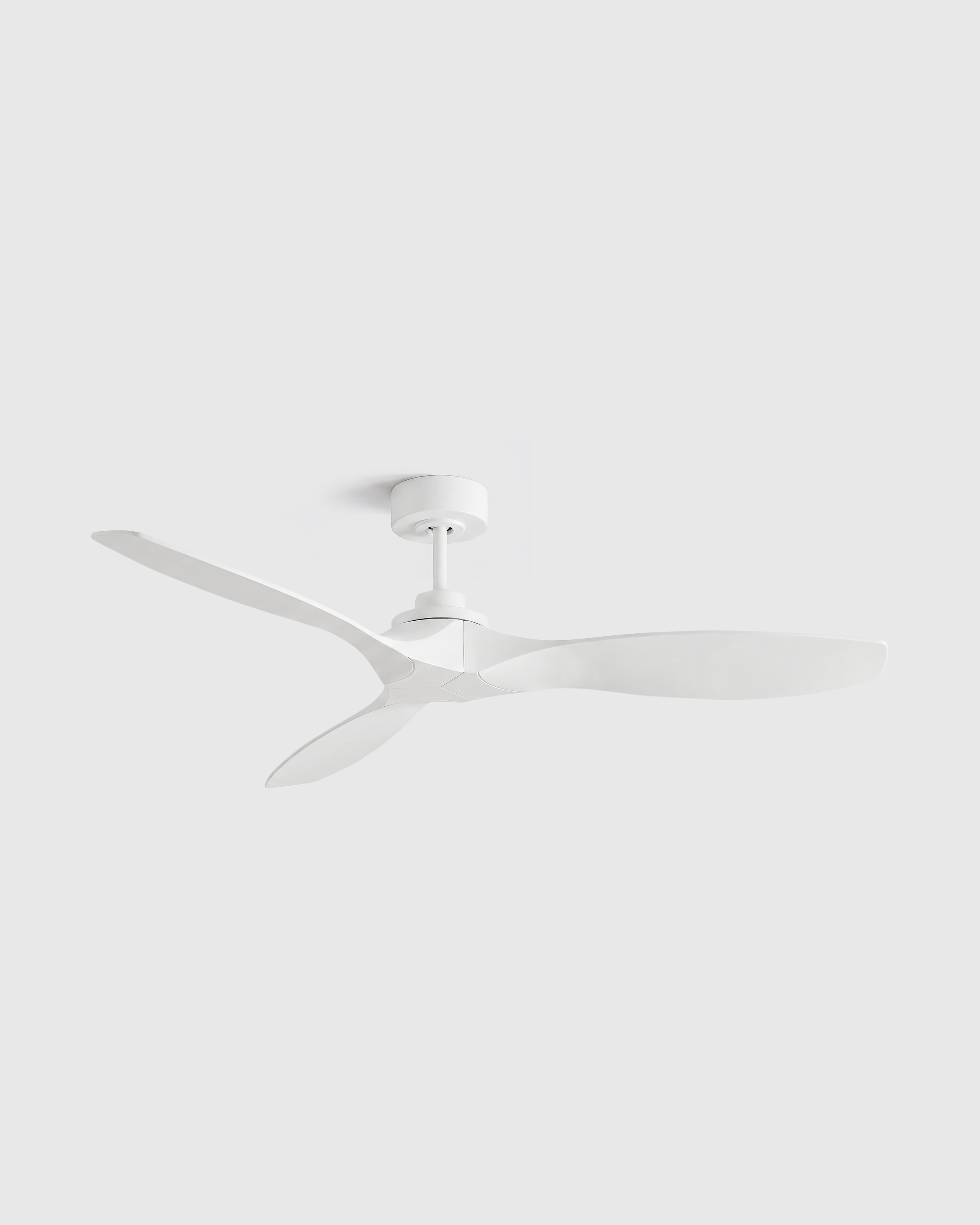 Outdoor Transitional Ceiling Fan
